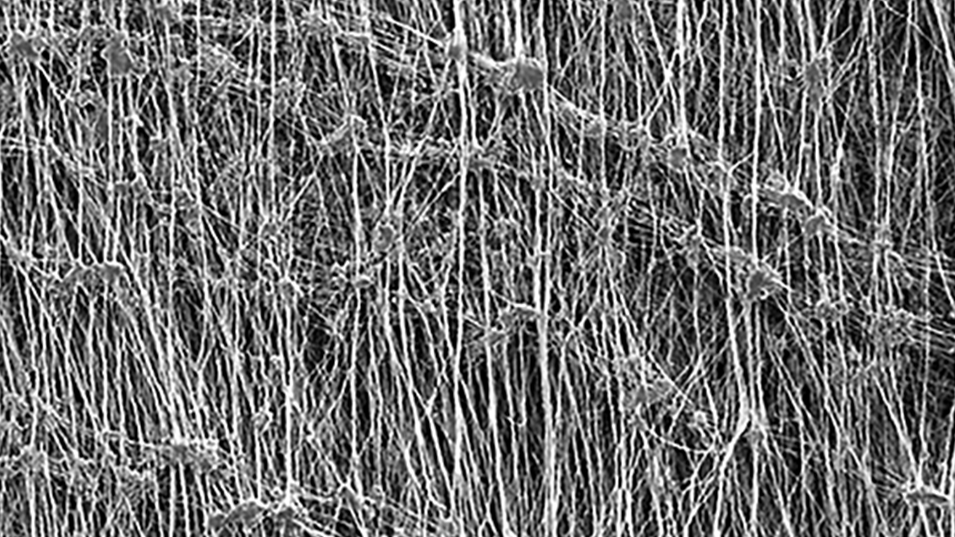 GORE Membrane for rugged environments