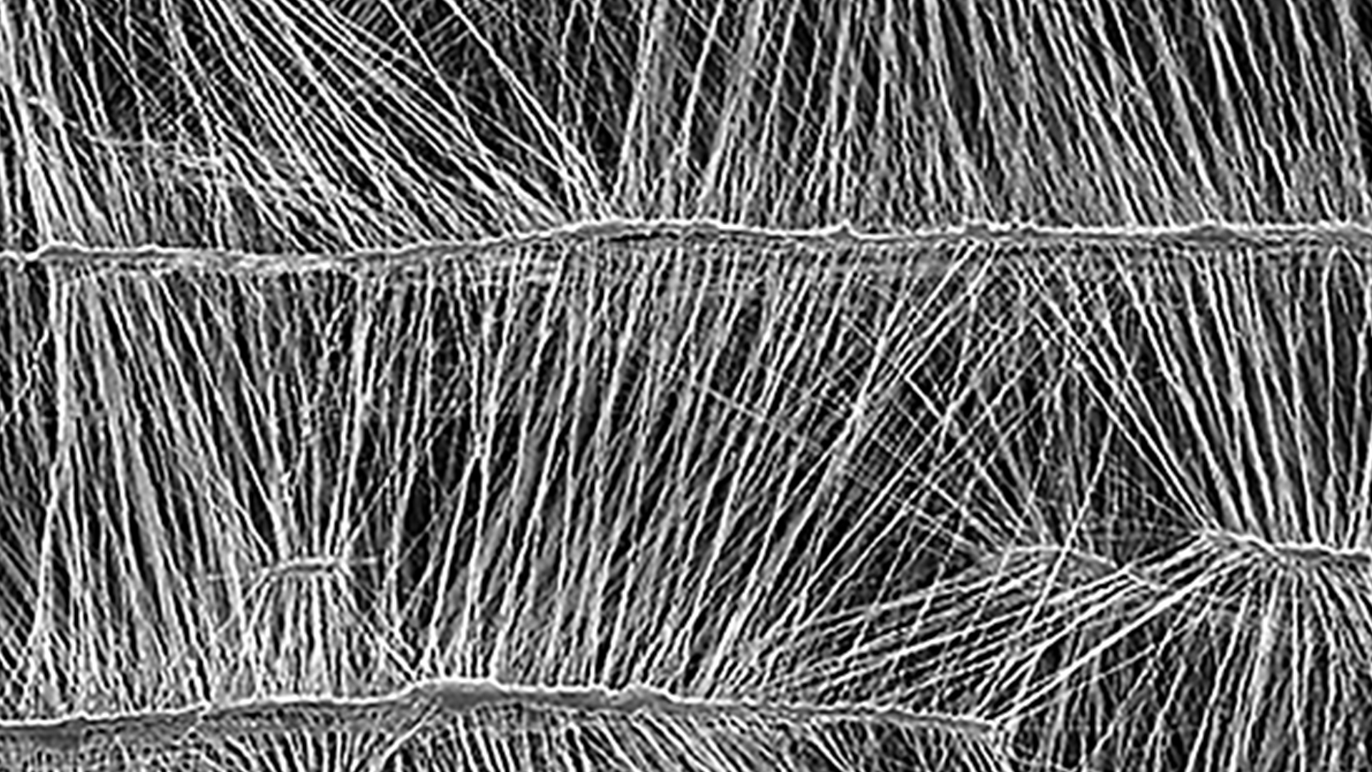 Membrane optimized for both airflow and durability