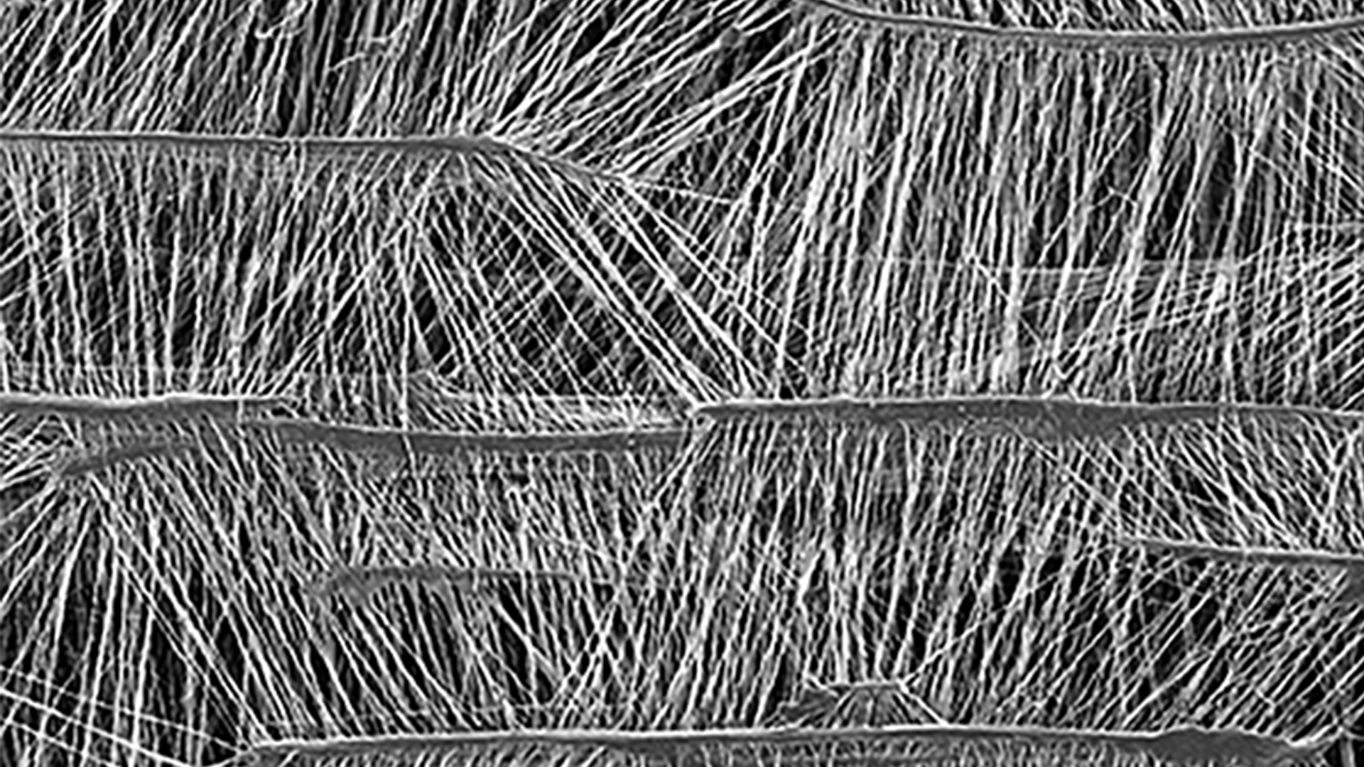 GORE Membrane optimized for both durability and efficiency