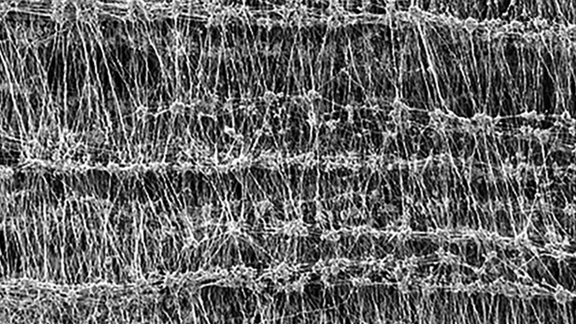 GORE Traditional Membrane for versatility - cross section