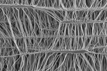 Lyoguard GORE ePTFE Membrane