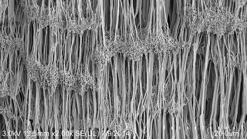 Form in place gasket