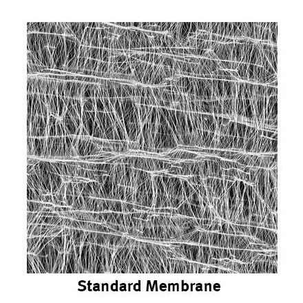 standard membrane