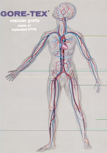 image of 1970's sales material for vascular graft product