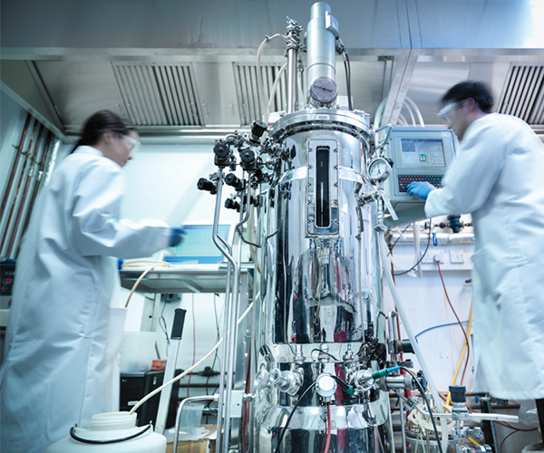 Bioreactor used in pharmaceutical and biopharmaceutical processing