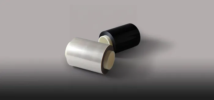 GORE-SELECT® Membranes(PEM) for Fuel Cells