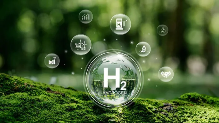 Water molecules on on a mossy forest.